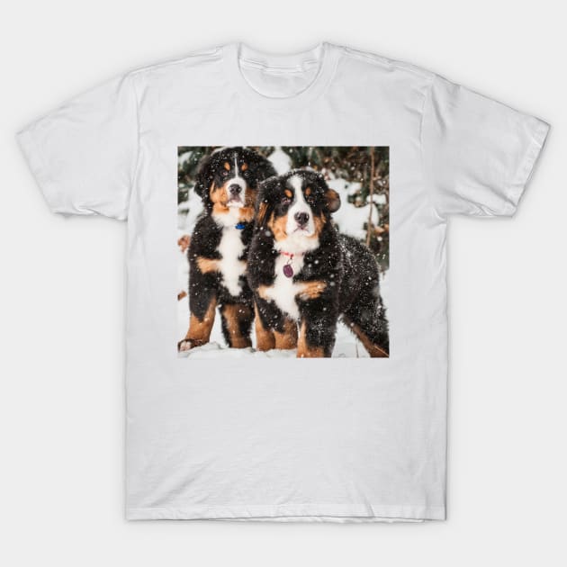 Everything I Own Is Covered In Dog Hair | Cute Bernese Puppies In Snow Photography T-Shirt by Nonconformist